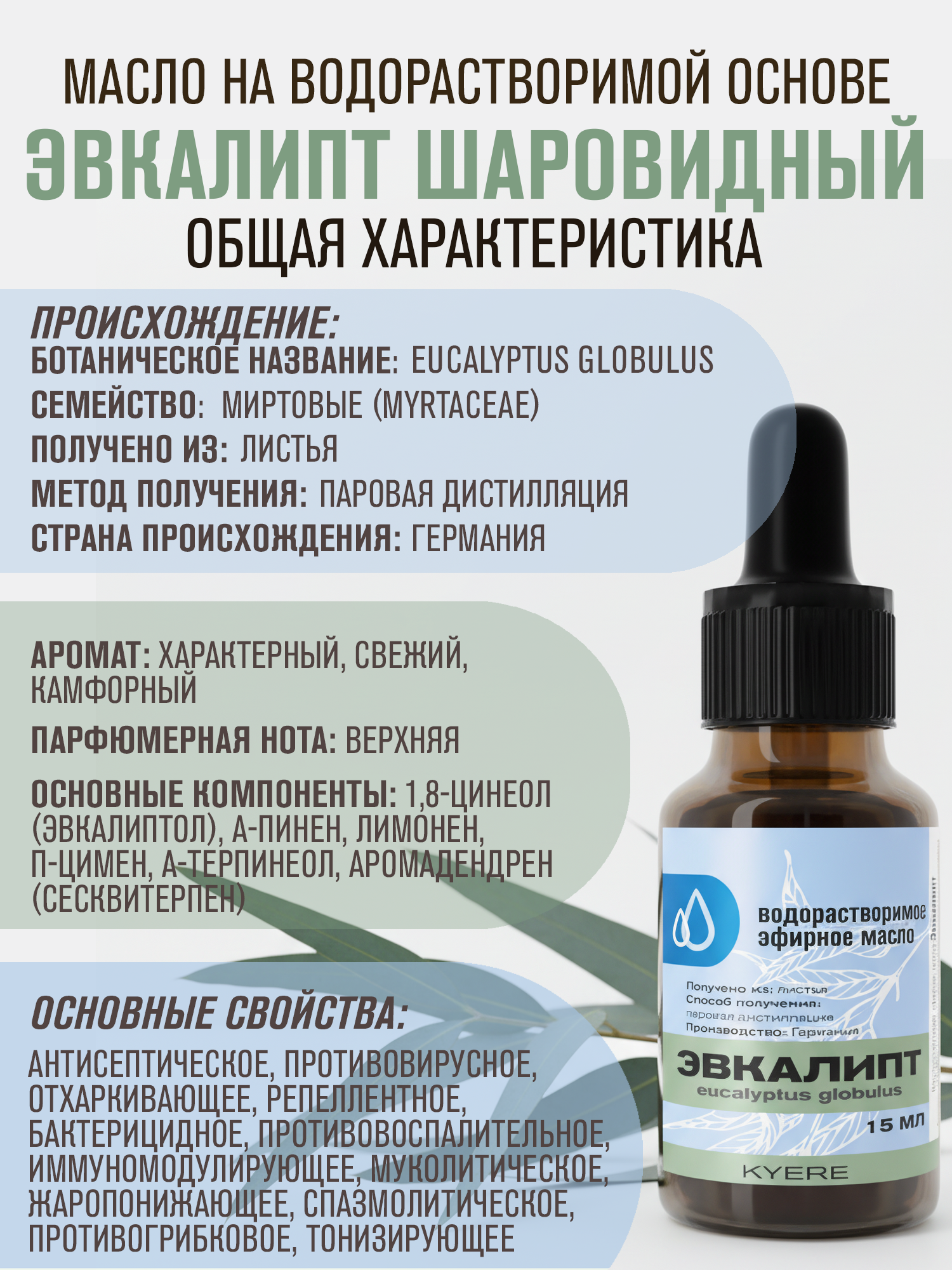Эвкалипт Шаровидный, 15 мл — изображение 3