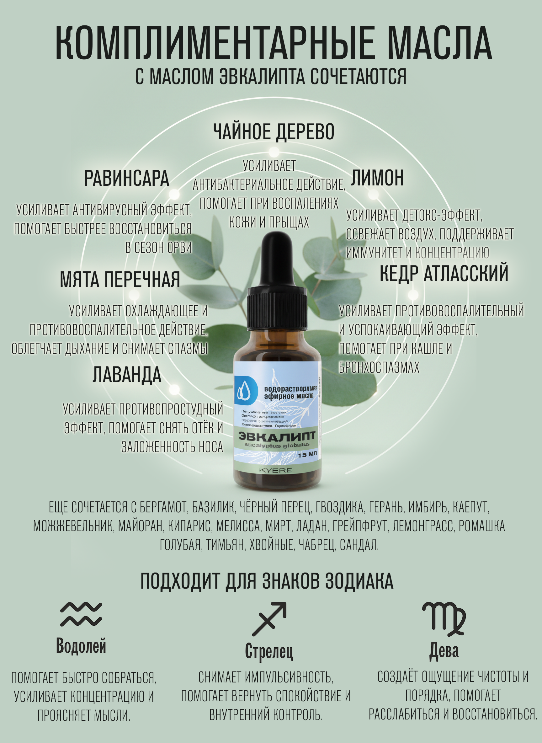 Эвкалипт Шаровидный, 15 мл — изображение 7